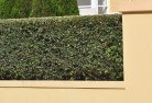 Bungwahlhard-landscaping-surfaces-8.jpg; ?>